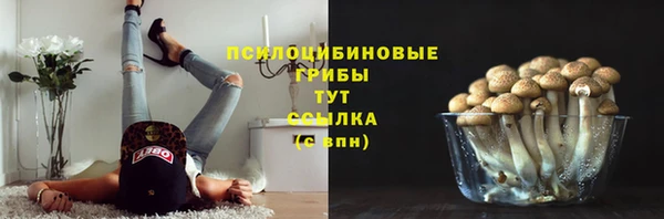 mdpv Алексин