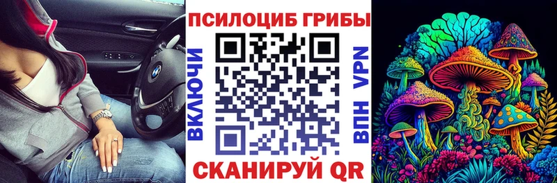 MEGA сайт  Аша  Галлюциногенные грибы Psilocybine cubensis 